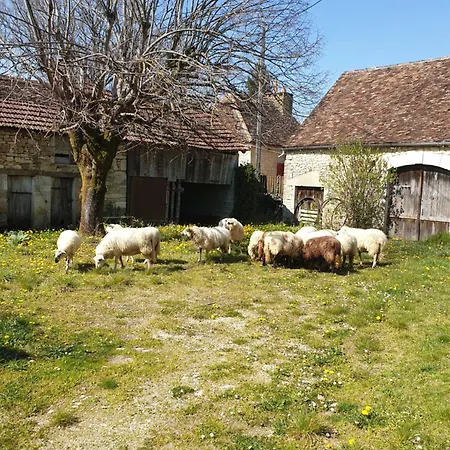 Maison De Roger Entre Sarlat Et Rocamadour Prázdninový dům *